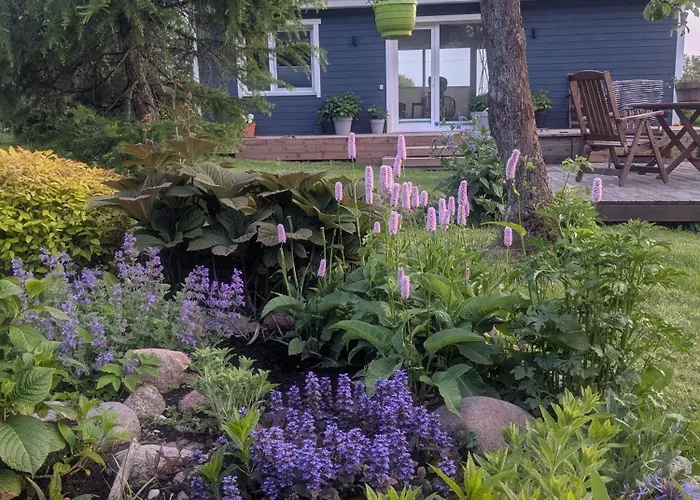 Puhkemaja Peedu Saunamaja